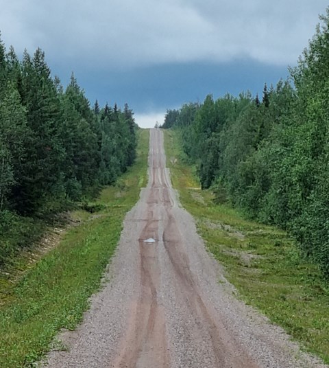 bilden visar grusbilväg i skogan