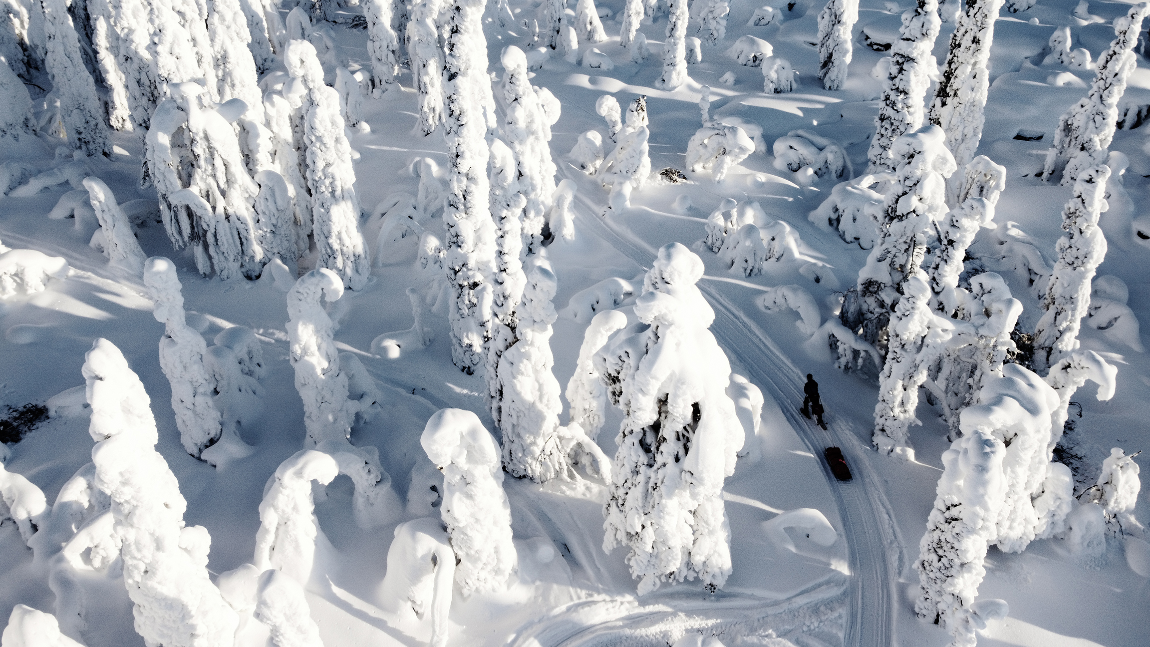 Experience real winter