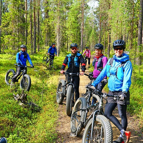 Cykling på de gamla skogscykelvägarna