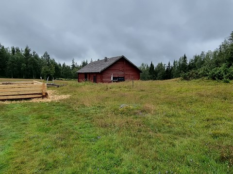 bilden visar en röd lada på en grön äng